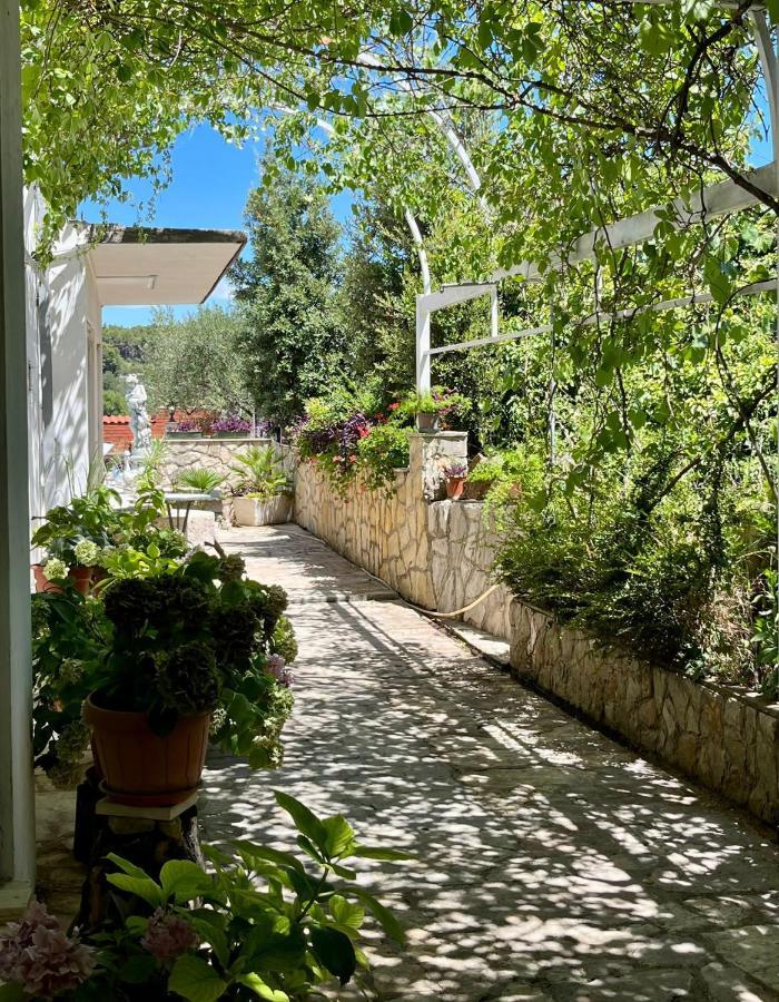 Gorana Apartman With Swimming Pool Daire Jelsa  Dış mekan fotoğraf