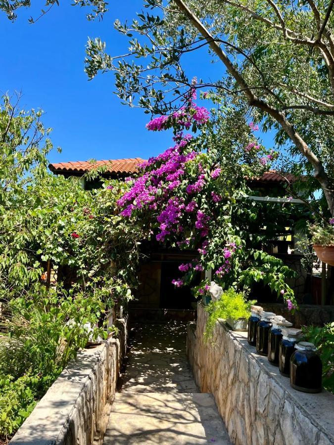 Gorana Apartman With Swimming Pool Daire Jelsa  Dış mekan fotoğraf