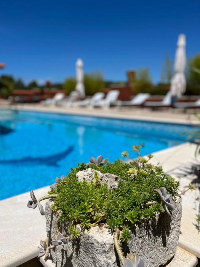 Gorana Apartman With Swimming Pool Daire Jelsa  Dış mekan fotoğraf