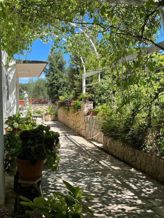 Gorana Apartman With Swimming Pool Daire Jelsa  Dış mekan fotoğraf