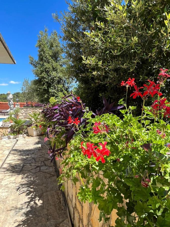 Gorana Apartman With Swimming Pool Daire Jelsa  Dış mekan fotoğraf